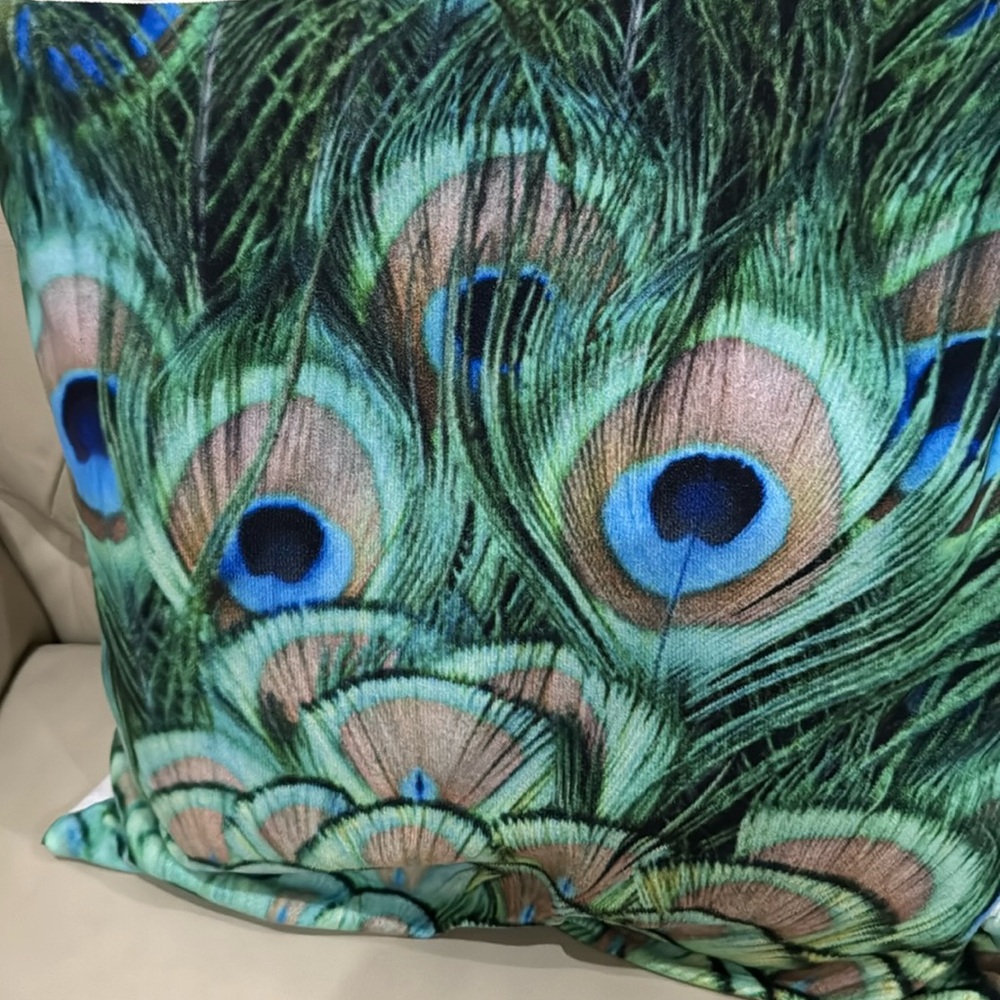 Beautiful pillow covers set of two